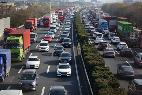 禹城汽车总量多少辆(禹城汽车总量概况)