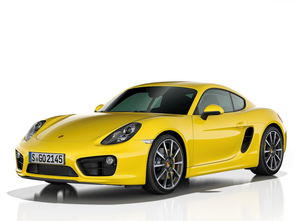 汽车保时捷有多少款(保时捷品牌下的汽车款式丰富多样，探究保时捷的车型系列)