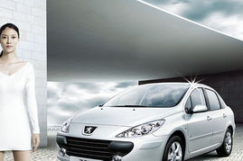 标致汽车 法国售价多少(标致汽车在法国的售价概览)