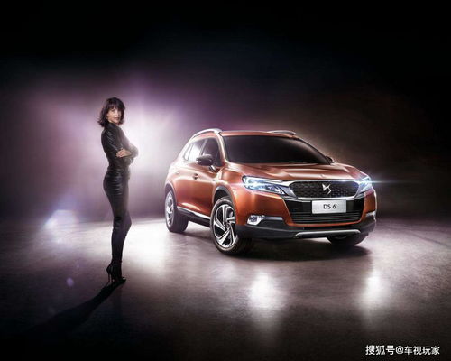 标致汽车 法国售价多少(标致汽车在法国的售价概览)