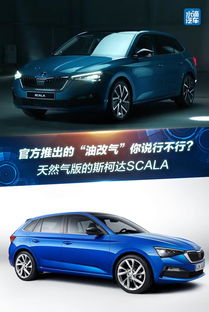 汽车改气身价多少(汽车改气身价多少，深度解析汽车燃气改装成本与效益)