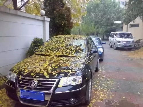 汽车多少公里才算高(汽车多少公里才算高，深度解析与探讨)