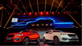 飞凡汽车多少价格(飞凡汽车价格解析，从入门到高端的不同价位选择)