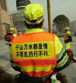 汽车乱扔垃圾罚多少(汽车乱扔垃圾罚多少，探讨违规处罚与环境保护的平衡点)