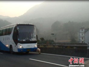 金华至都匀汽车多少(金华至都匀汽车多少，深度解析长途汽车运输的细节与考量因素)