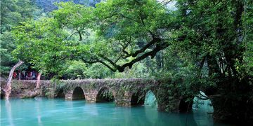 荔波到龙里汽车多少(荔波到龙里汽车的相关信息解析)