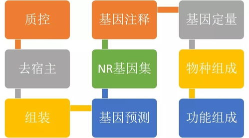 出口汽车多少钱(探究出口汽车的定价策略，多少钱才是合适的？