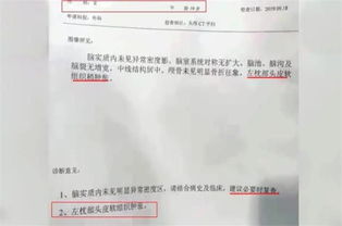 汽车踢坏赔多少(汽车踢坏赔多少，解析赔偿因素与计算方法)