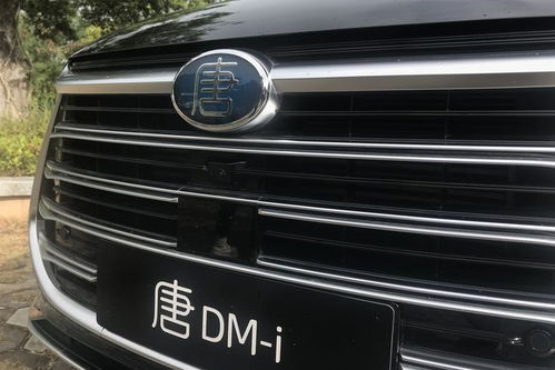 比亚迪汽车停了多少天(比亚迪汽车停了多少天，深度探究背后的原因与影响)