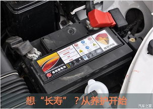 汽车清洗电瓶费用多少(汽车清洗电瓶费用解析，了解价格背后的因素)