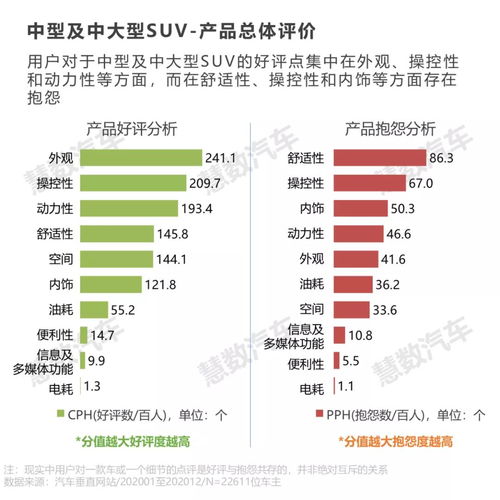 新会城区汽车有多少(新会城区汽车数量概览)