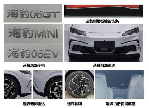 海豹汽车极速多少正常(海豹汽车极速多少正常)