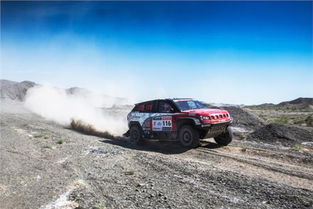 拉力汽车多少马力合适(拉力汽车多少马力合适)