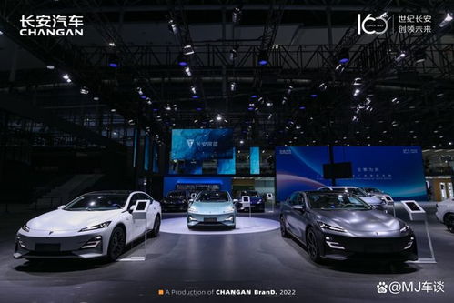 成功汽车多少款式好看(成功汽车，多样款式展现独特魅力与美感)