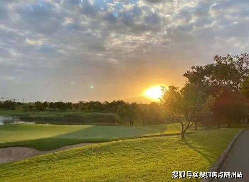 泸州汽车真实油耗多少(泸州汽车真实油耗多少？深度解析与对比)