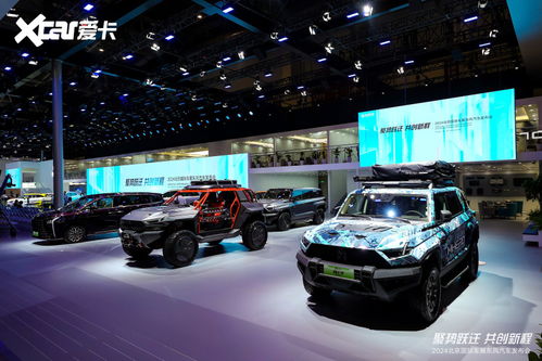 几何汽车 投资多少亿(几何汽车，投资巨额，引领未来出行新纪元)