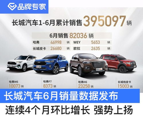 无为市汽车中价多少(无为市汽车中价概览)