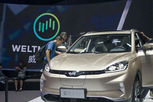 通威汽车单价多少(通威汽车单价多少，深度解析通威汽车价格体系及市场定位)