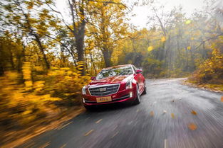 过道道限速多少汽车(关于过道道限速与汽车行驶的研究)