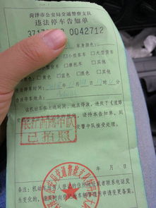 国内汽车罚款多少(国内汽车罚款制度详解)