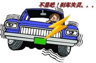 跑过汽车的人有多少(跑过汽车的人有多少，一种现象的深度解析)