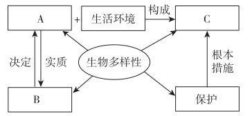汽车共有多少种架构(汽车架构的种类与特点，深入了解汽车的多样性)