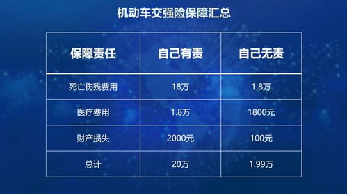 汽车保险至少多少(汽车保险至少多少，深度解析与选择策略)