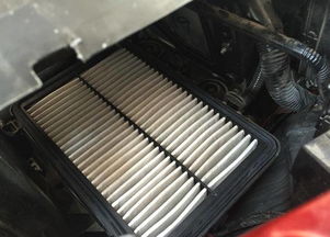 济南汽车滤芯费用多少(济南汽车滤芯费用解析)