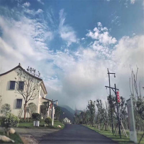 黄牌汽车费用多少(黄牌汽车费用多少，全面解析成本与费用)