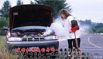 汽车声音多少正常(汽车声音多少正常，理解汽车噪音与行驶性能的关系)