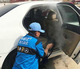 汽车洗车消毒价格多少(汽车洗车消毒价格多少，全面解析洗车消毒费用及其影响因素)