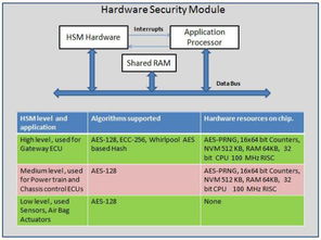 汽车系统密码是多少(汽车系统密码是多少，探索现代车辆的安全密钥)