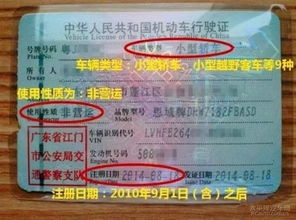 年检汽车违法罚款多少(汽车年检违法罚款详解，罚款金额与影响因素分析)
