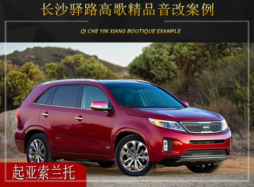 琴汽车多少钱(琴汽车的价格分析及市场定位)