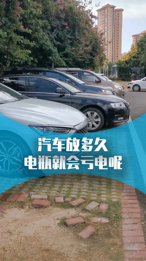 汽车疝气灯价格多少(汽车疝气灯价格及其相关知识解析)