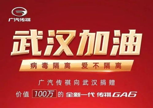 标志汽车捐了多少(标志汽车捐赠贡献，揭示其慷慨之举的深远影响)