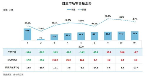汽车品牌降价多少(汽车品牌降价多少—市场策略、影响因素及消费者反应分析)