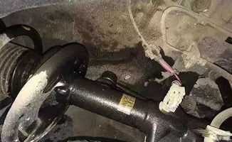 汽车减震的弹力多少(汽车减震的弹力多少—探究汽车减震系统弹力的重要性及其影响因素)