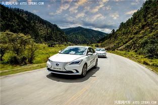 非同汽车多少钱(非同汽车的价位及其市场影响力)