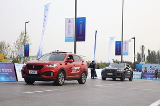 长城共多少吨汽车(长城与汽车，磅礴与流动的交汇)