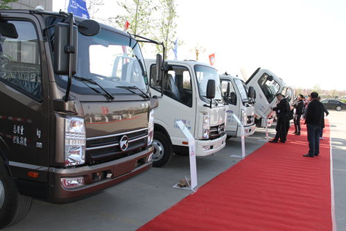 凯马汽车亏损多少(凯马汽车亏损深度解析)