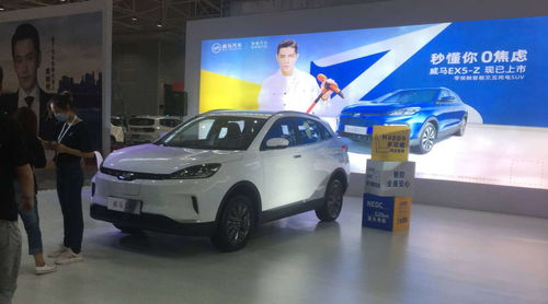 资阳汽车政府补贴多少(资阳汽车政府补贴详解)