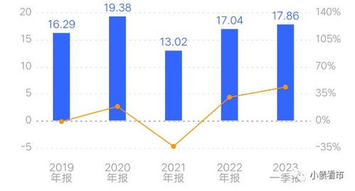 比亚迪汽车总负债多少(比亚迪汽车的总负债分析)