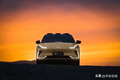 海里面有多少汽车(海里面有多少汽车，一个引人深思的话题)