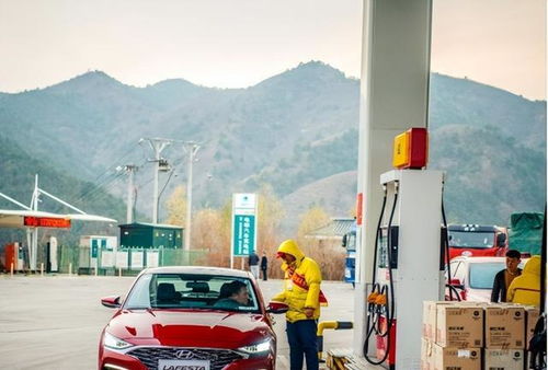 汽车每年使用多少石油(汽车每年使用多少石油，探究石油消耗与汽车发展的关系)