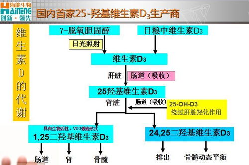 汽车油箱误差在多少(汽车油箱误差的探讨，影响、原因及解决方案)