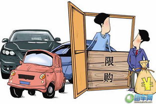 运货汽车高度多少米(运货汽车高度标准解析，影响与规定)