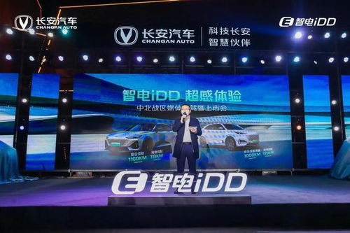 汽车新电池多少电量(汽车新电池的电量及其重要性)