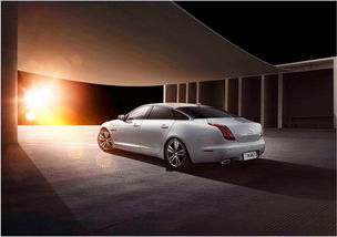 有多少款汽车之家(探索汽车世界的宝藏，汽车之家的多元化魅力)