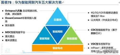 foot汽车多少钱(揭秘FOOT汽车价格，深度解析与全方位解读)